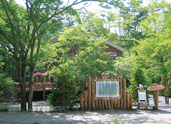 Forestとは、森の中という意味もあり 忘れえぬ風につつまれる一日でありますように Forestとは、森の中という意味もあり 忘れえぬ風につつまれる一日でありますように
